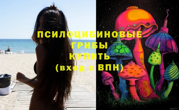 прущие крисы Арсеньев
