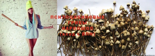 первитин Армянск