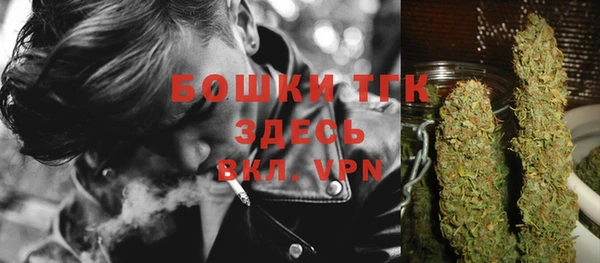 прущие крисы Арсеньев