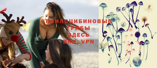 бошки Сатка