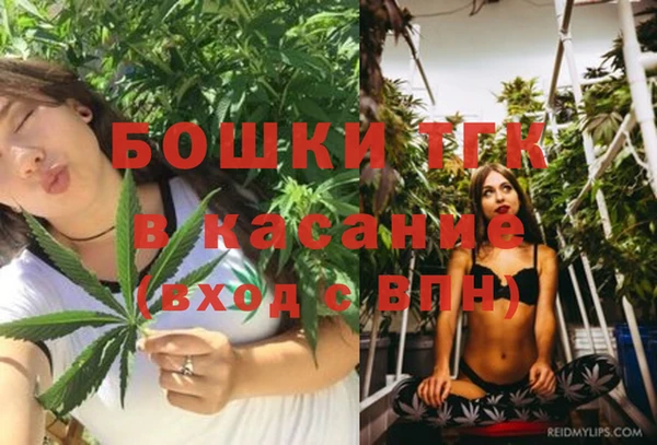 прущие крисы Арсеньев